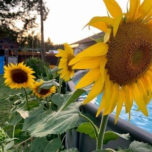 Meet your Posher, Cathy